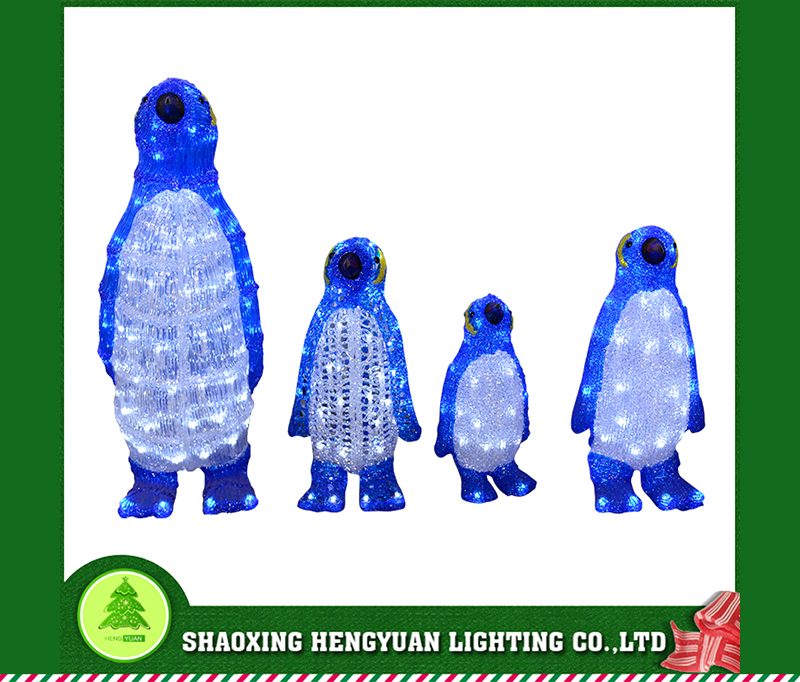 Large and medium Penguin