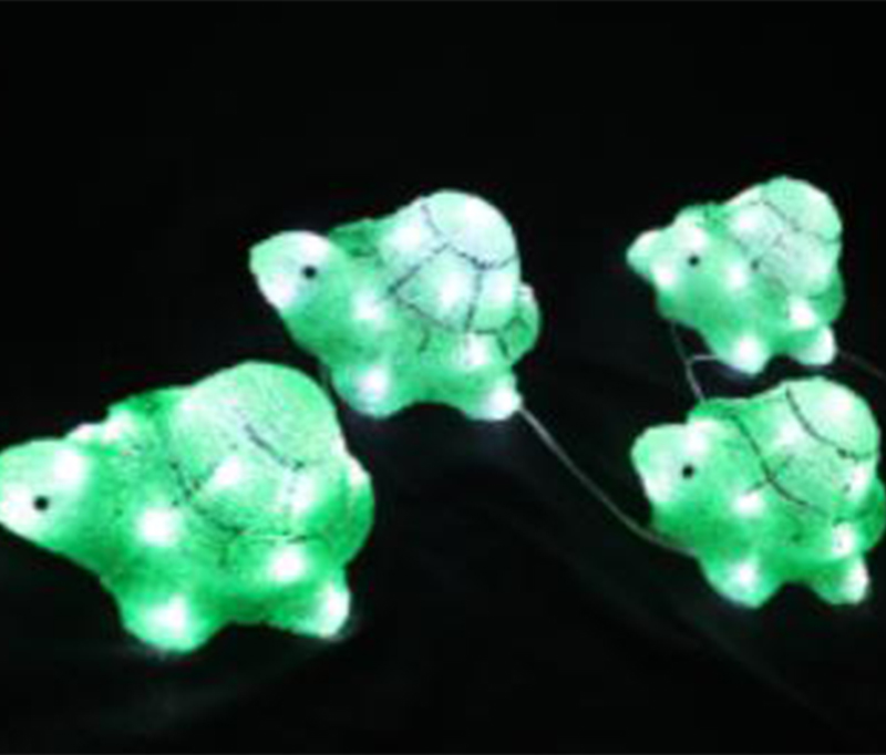 Turtle Race