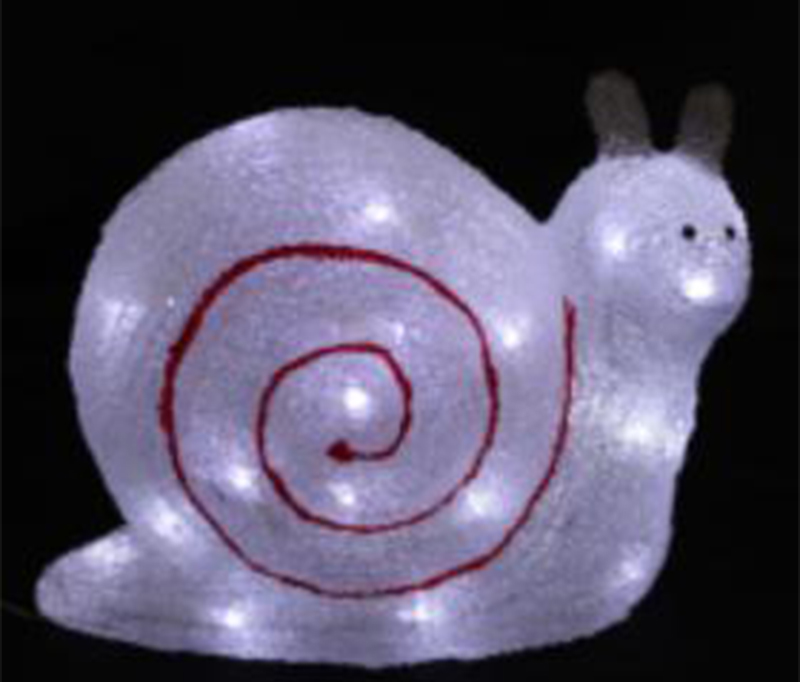 snail