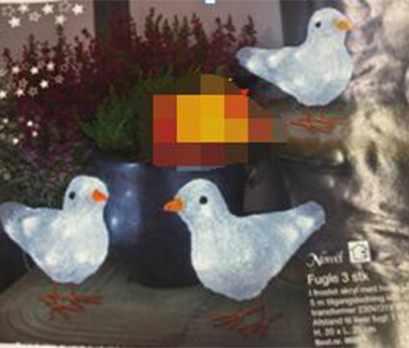 carrier pigeon