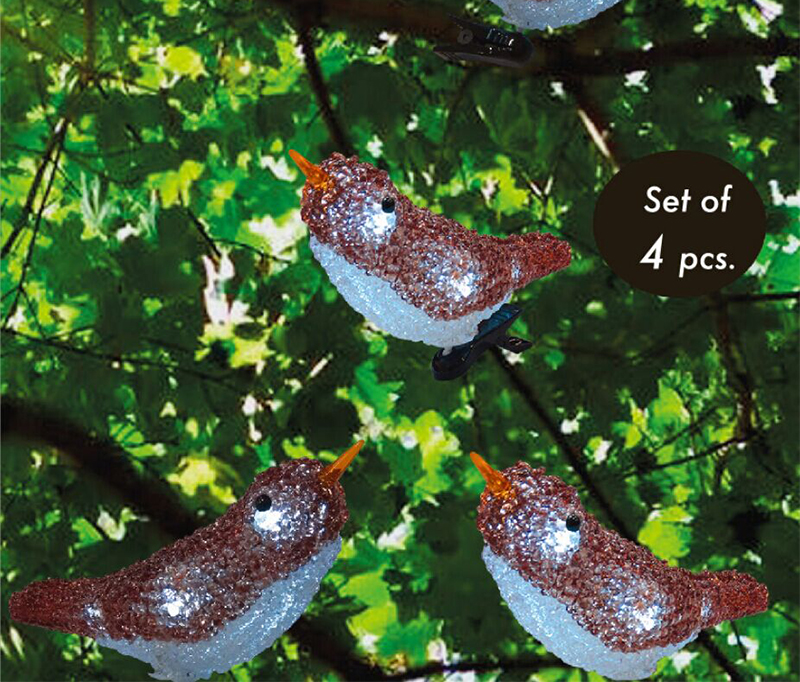Bird(bird's foot is a clip)